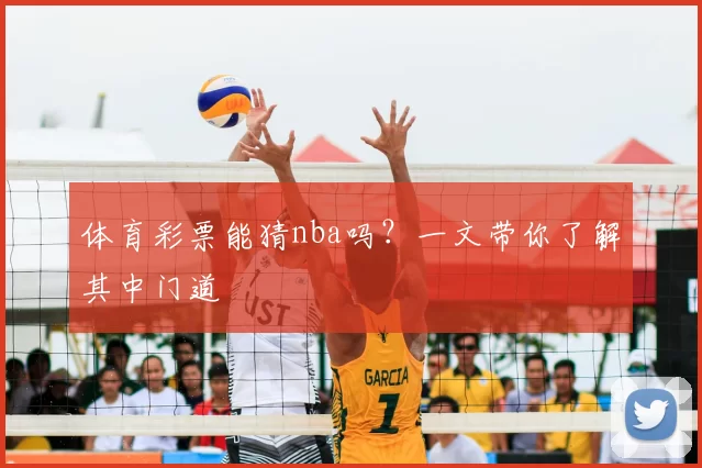 体育彩票能猜nba吗？一文带你了解其中门道