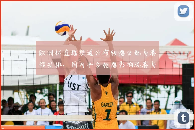 欧洲杯直播频道公布转播分配与赛程安排，国内平台轮播影响观赛与转会关注