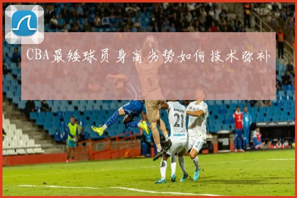 CBA最矮球员身高劣势如何技术弥补