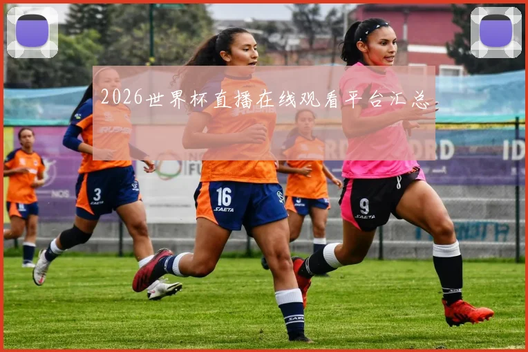 2026世界杯直播在线观看平台汇总