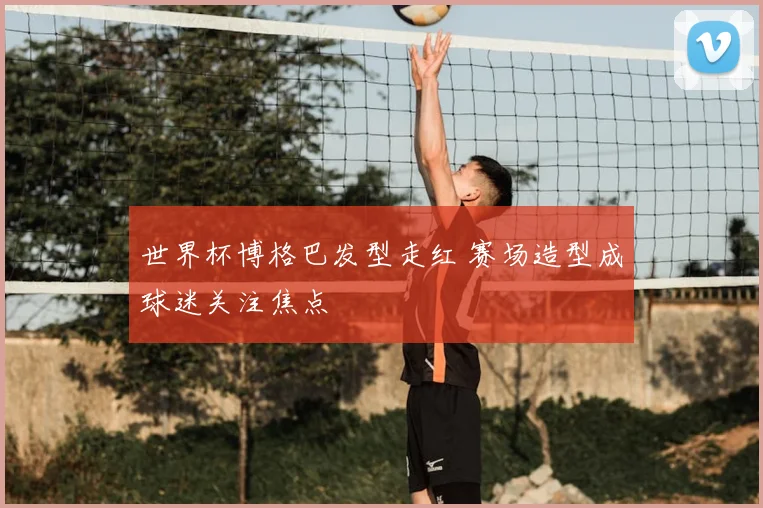 世界杯博格巴发型走红 赛场造型成球迷关注焦点