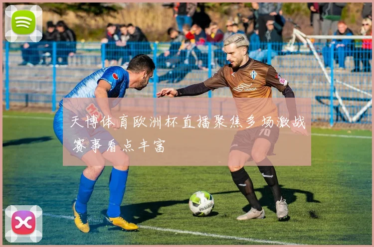 天博体育欧洲杯直播聚焦多场激战 赛事看点丰富