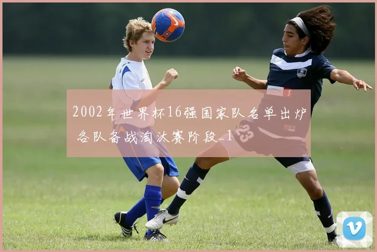 2002年世界杯16强国家队名单出炉 各队备战淘汰赛阶段_1