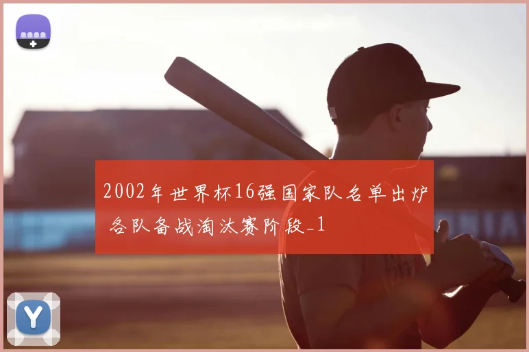 2002年世界杯16强国家队名单出炉 各队备战淘汰赛阶段_1