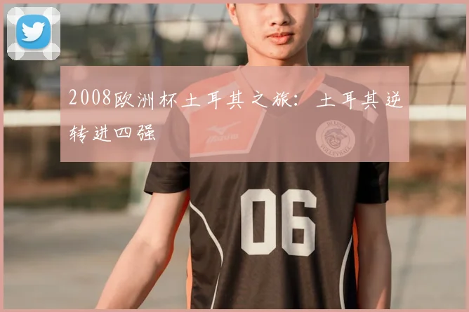 2008欧洲杯土耳其之旅：土耳其逆转进四强