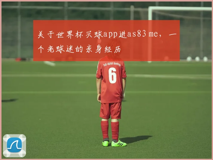 关于世界杯买球app进as83 me，一个老球迷的亲身经历