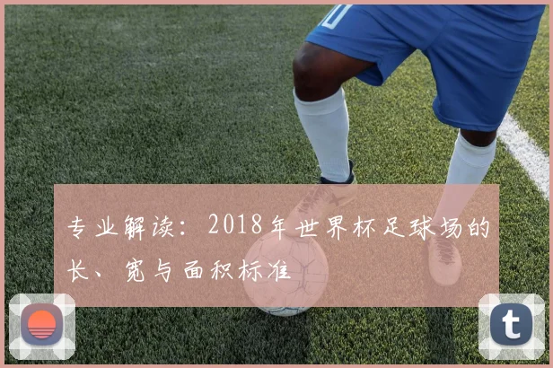 专业解读:2018年世界杯足球场的长、宽与面积标准