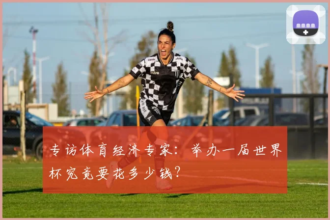 专访体育经济专家：举办一届世界杯究竟要花多少钱？