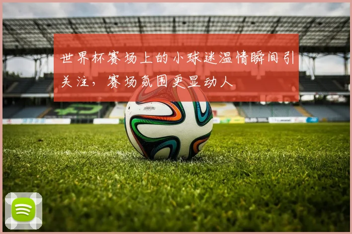 世界杯赛场上的小球迷温情瞬间引关注，赛场氛围更显动人