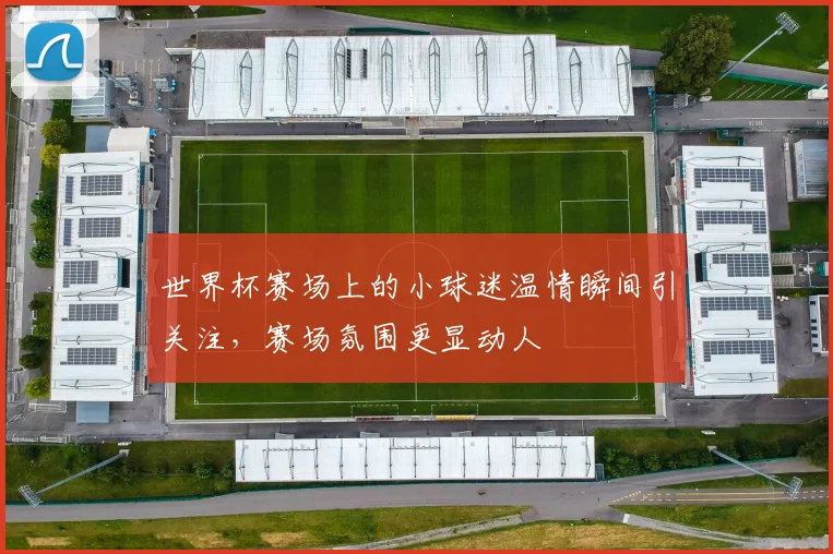 世界杯赛场上的小球迷温情瞬间引关注，赛场氛围更显动人