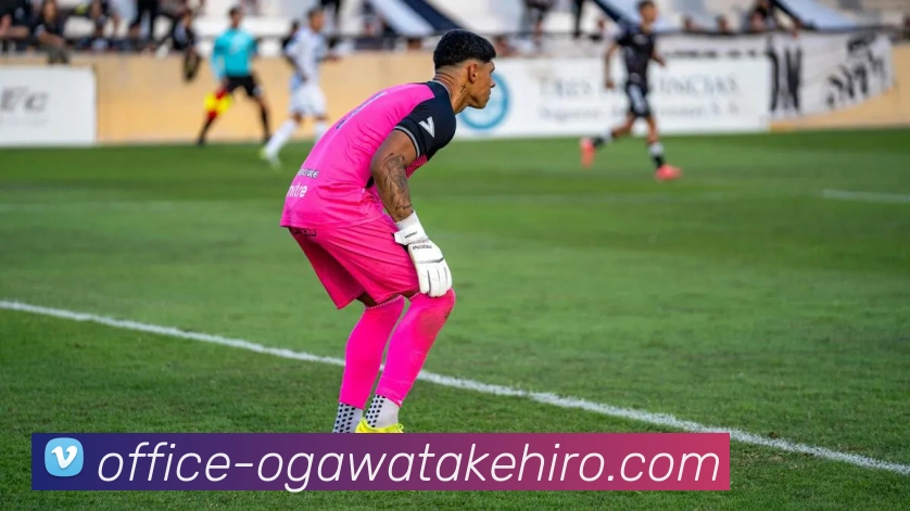 mksports官网地址服务体系